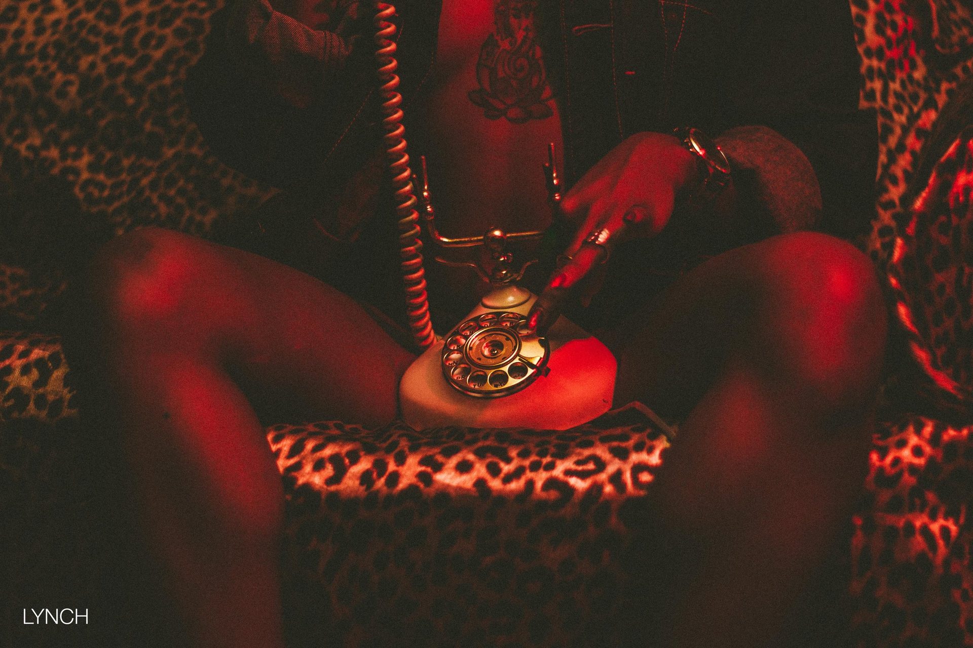 _MG_4572